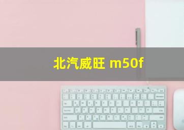 北汽威旺 m50f